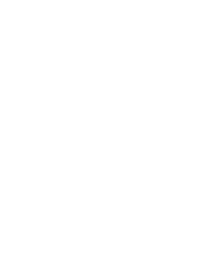 logo light
